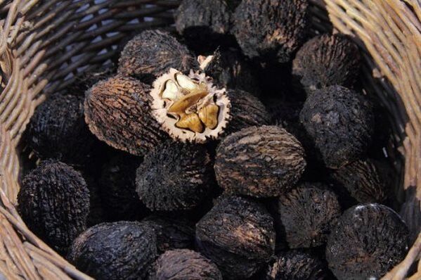 black pest walnut